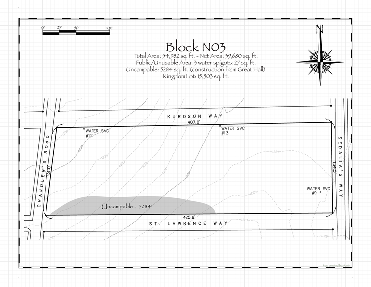 Pennsic 49 Block N03 Map
