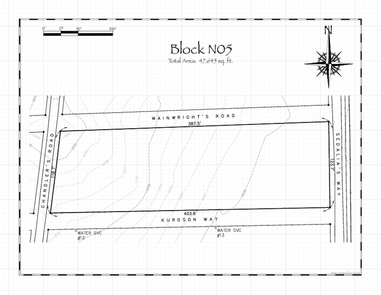 Pennsic 49 Block N05 Map