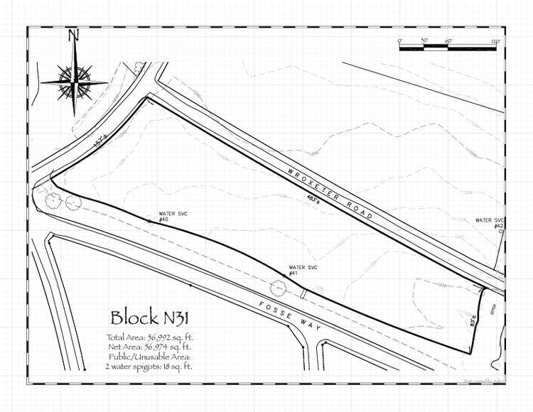 Pennsic 49 Block N31 Map