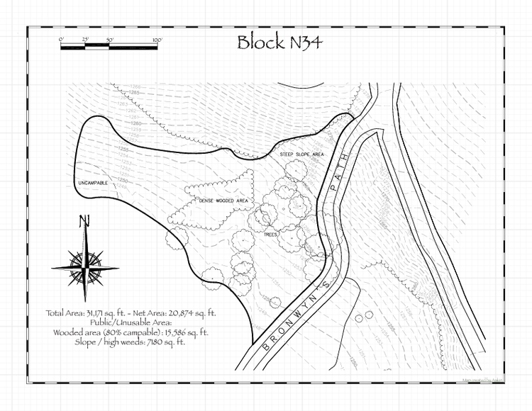 Pennsic 49 Block N34 Map